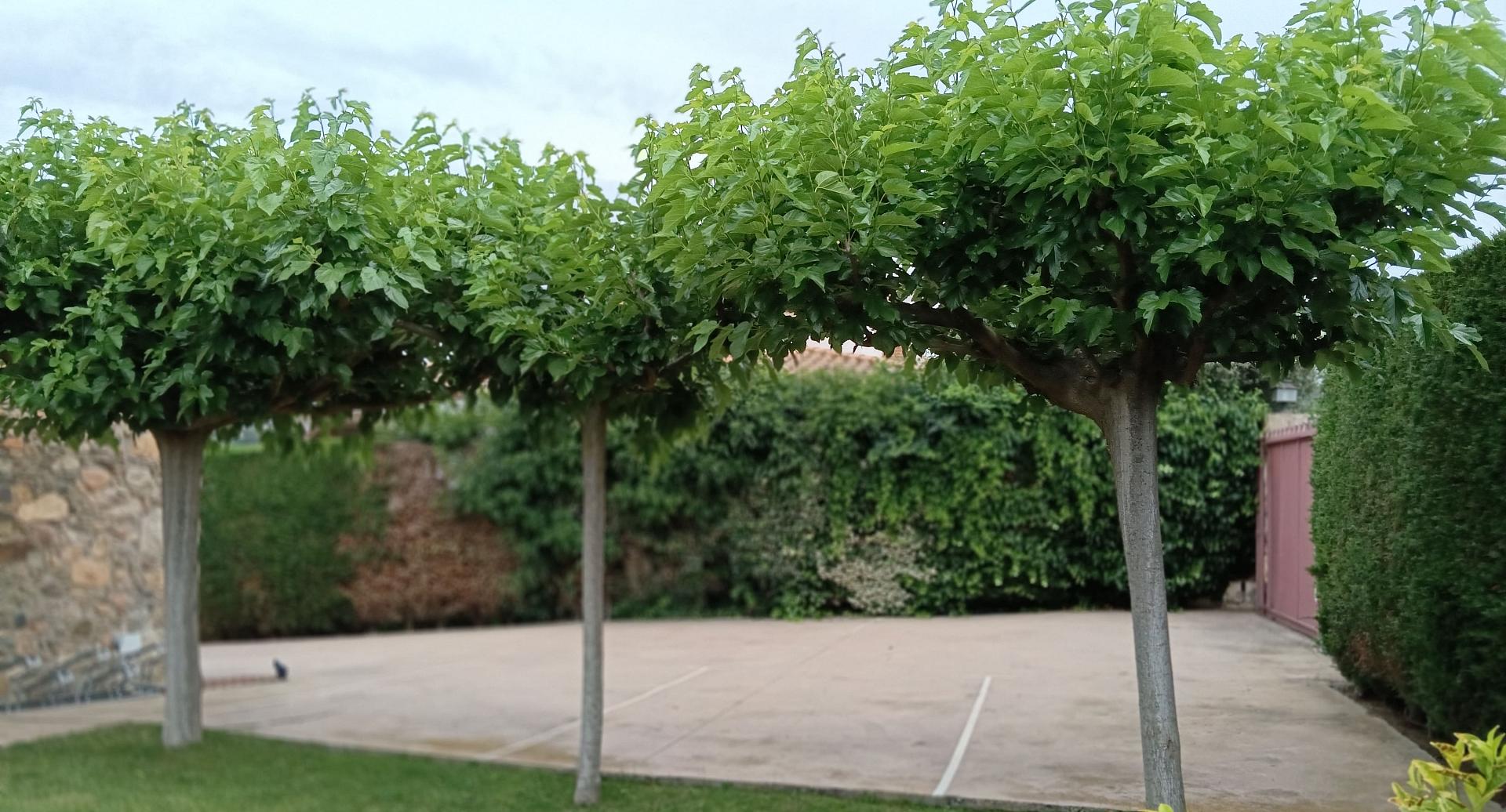 Parking privé