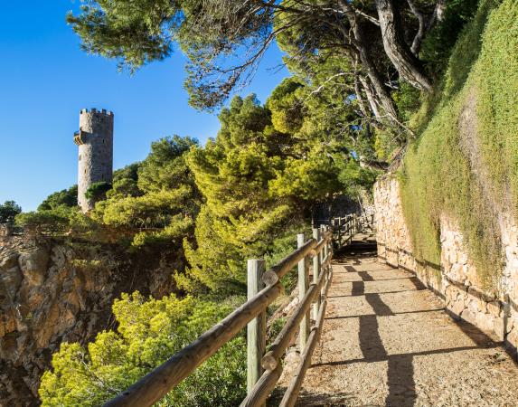 Coastal paths