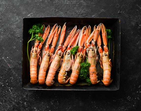 Menu langoustines