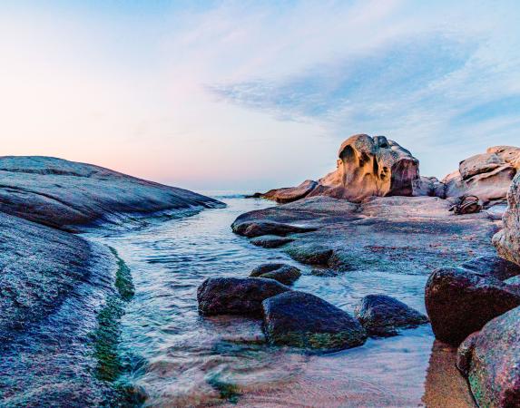 Cove of Roques Planes