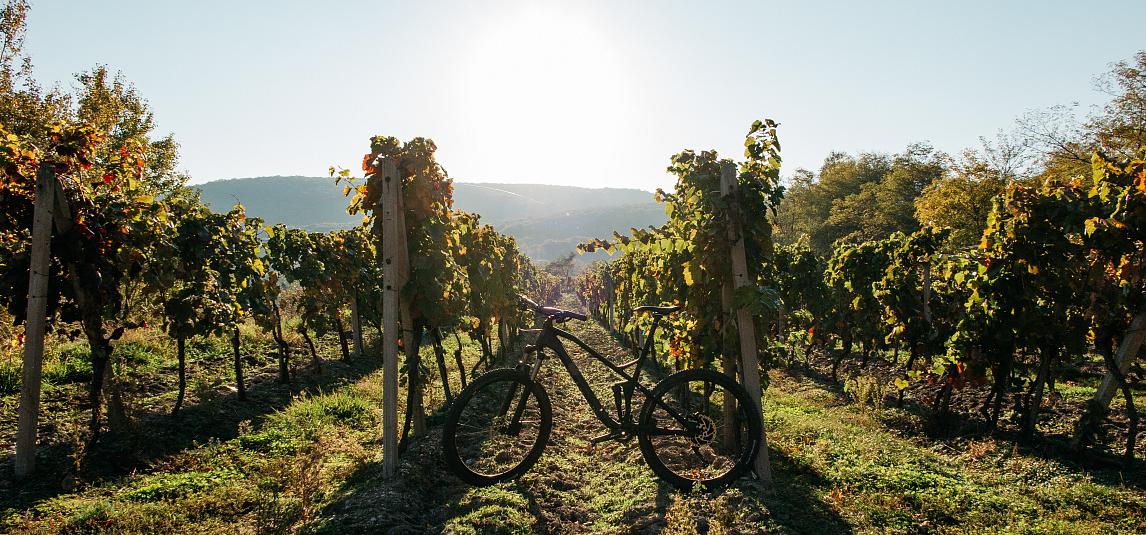 Tast d'Empordà